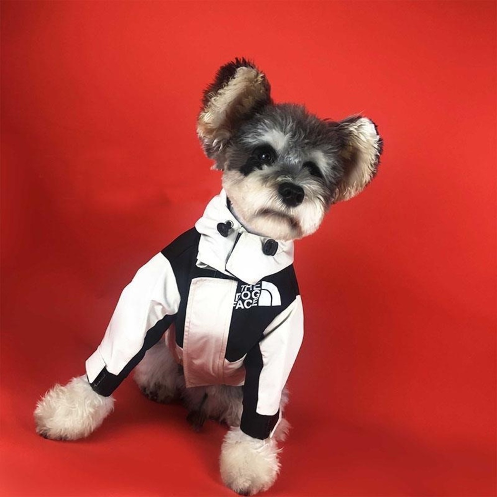 The DogFace Insulated Dog Jacket